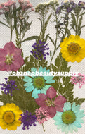 SPRING MIX - Large Dried Flowers