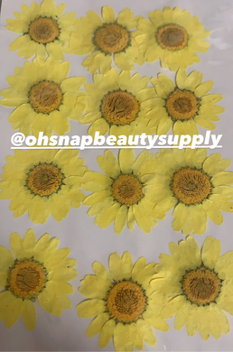 Yellow - Large Dried Flowers