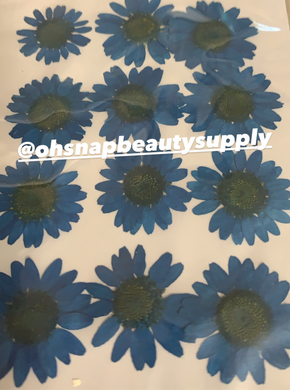 Blue - Large Dried Flowers