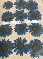 Blue - Large Dried Flowers