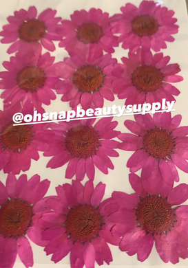 Hot Pink / Fuchsia - Large Dried Flowers