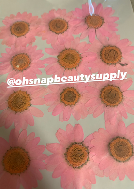 Bright Pink - Large Dried Flowers