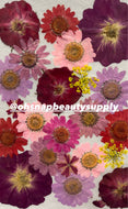 RED FALL MIX - Large Dried Flowers