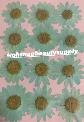 Tiffany - Large Dried Flowers