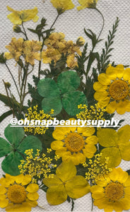 YELLOW GREEN MIX - Large Dried Flowers