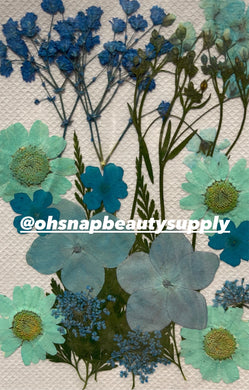 TIFFANY BLUE - Large Dried Flowers